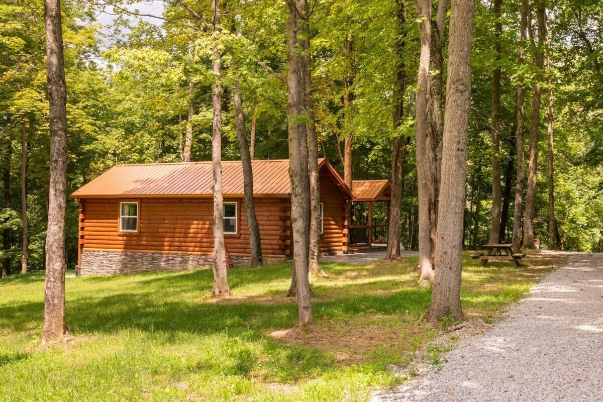 Secluded Wooded Cabin Near The Hocking Hills New Straitsville Bagian luar foto